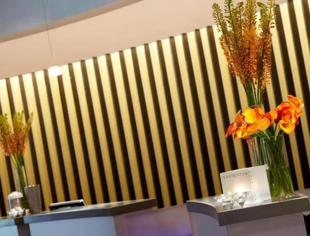 Renaissance St. Louis Airport Hotel hotel detail image 3