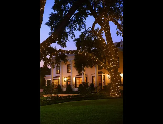 White House Hotel hotel detail image 1