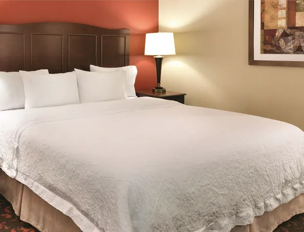 Hampton Inn Houston-Willowbrook Mall hotel detail image 4