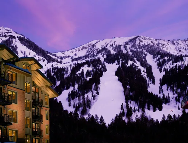 Hotel Terra Jackson Hole - A Noble House Resort hotel detail image 3