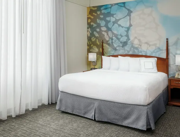 Courtyard by Marriott Houston Downtown/Convention Center hotel detail image 4