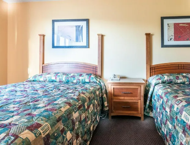 Master Suites Hotel hotel detail image 2