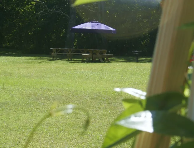 Seven Oaks Bed & Breakfast hotel detail image 3