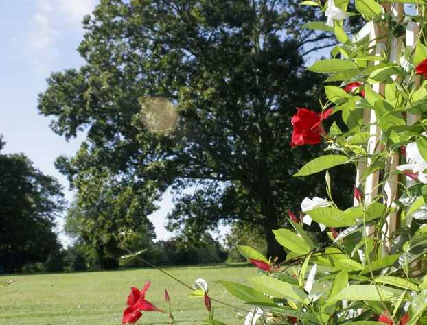 Seven Oaks Bed & Breakfast hotel detail image 4