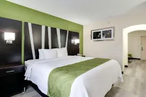Quality Suites Albuquerque Airport hotel detail image 3