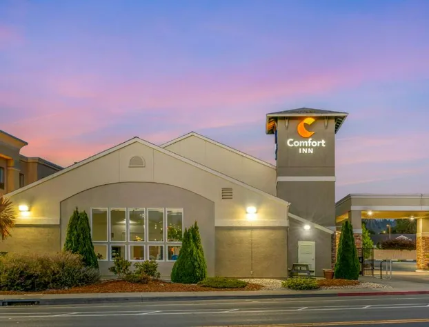 Comfort Inn Arcata - Humboldt Area hotel detail image 3