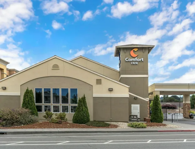 Comfort Inn Arcata - Humboldt Area hotel detail image 4