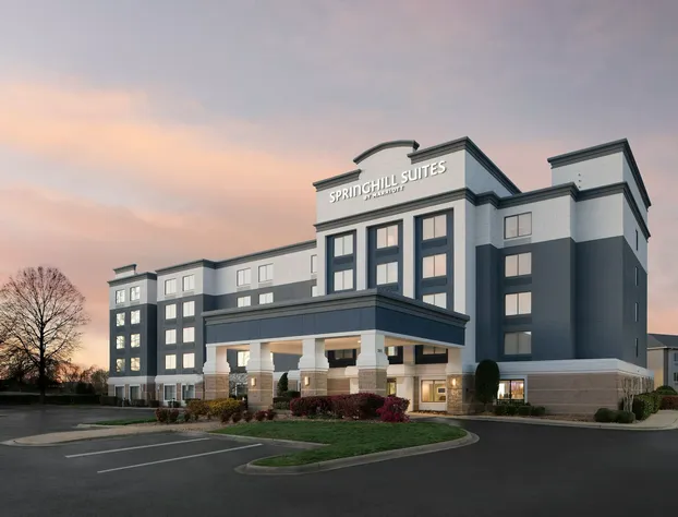 SpringHill Suites by Marriott Charlotte Concord Mills Spdwy hotel detail image 1