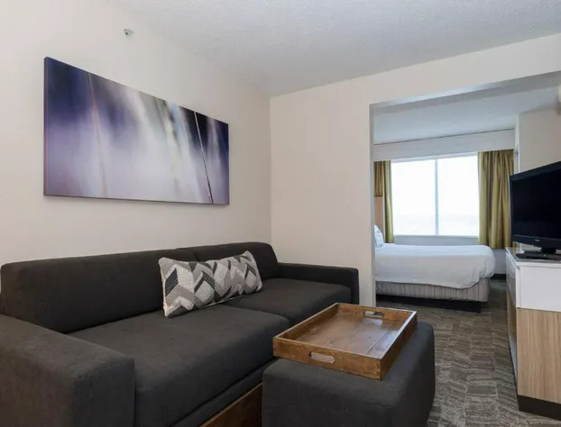 SpringHill Suites by Marriott Charlotte Concord Mills Spdwy hotel detail image 3