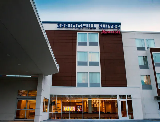 SpringHill Suites Wisconsin Dells hotel detail image 4