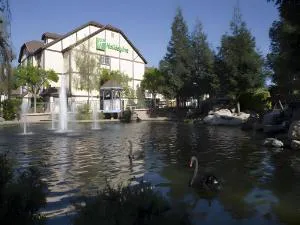 Holiday Inn Selma - Swancourt by IHG hotel detail image 1