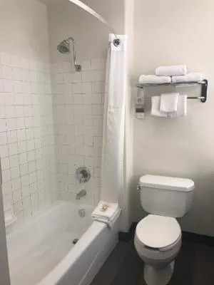 Holiday Inn Selma - Swancourt by IHG hotel detail image 2