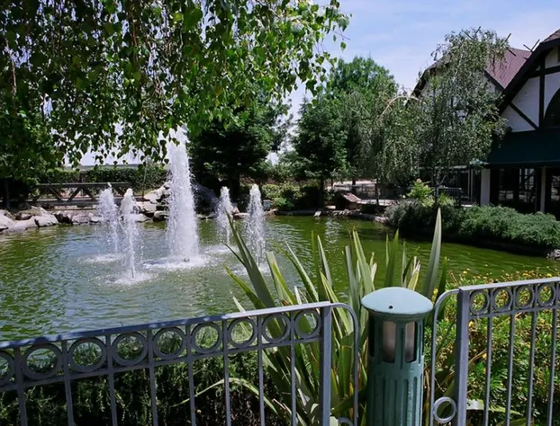 Holiday Inn Selma - Swancourt by IHG hotel detail image 4