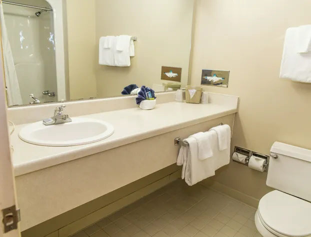 The Inn at Snowshoe hotel detail image 4