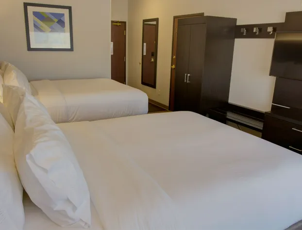 Holiday Inn Express Hotel & Suites Le Mars by IHG hotel detail image 4