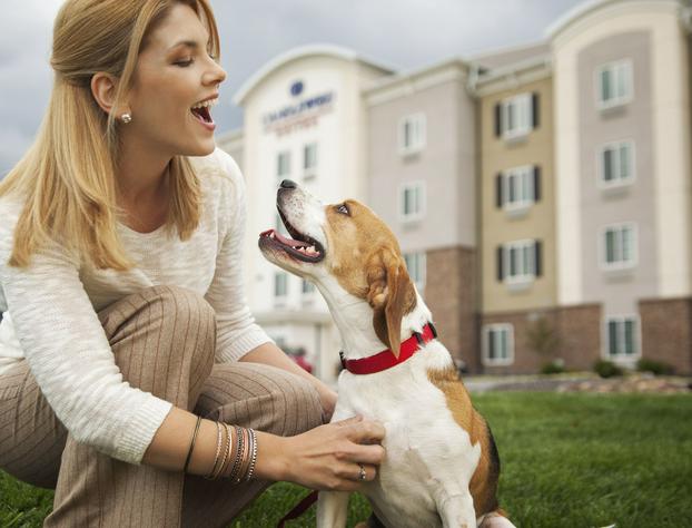 Candlewood Suites San Antonio Airport, an IHG Hotel hotel detail image 4
