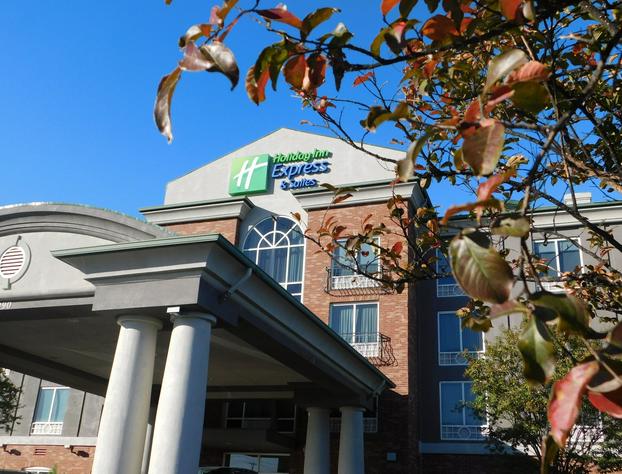 Holiday Inn Express & Suites Millington by IHG hotel detail image 3