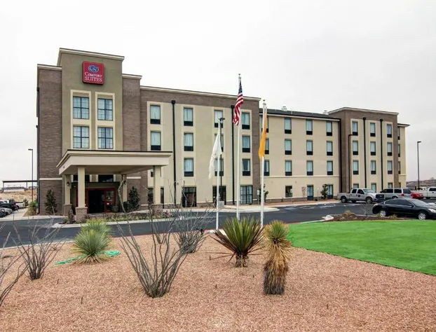 Comfort Suites Carlsbad hotel detail image 1