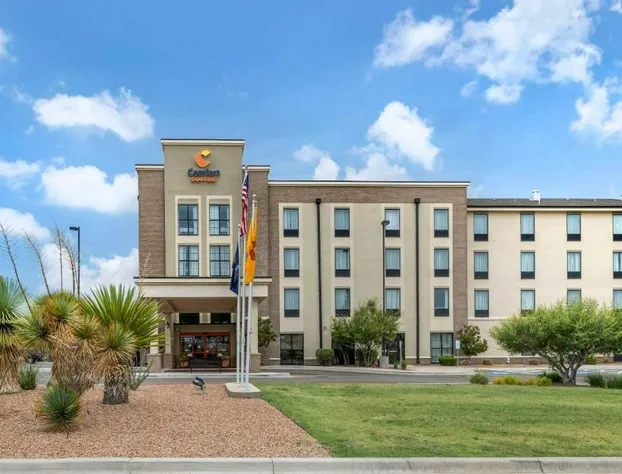 Comfort Suites Carlsbad hotel detail image 4