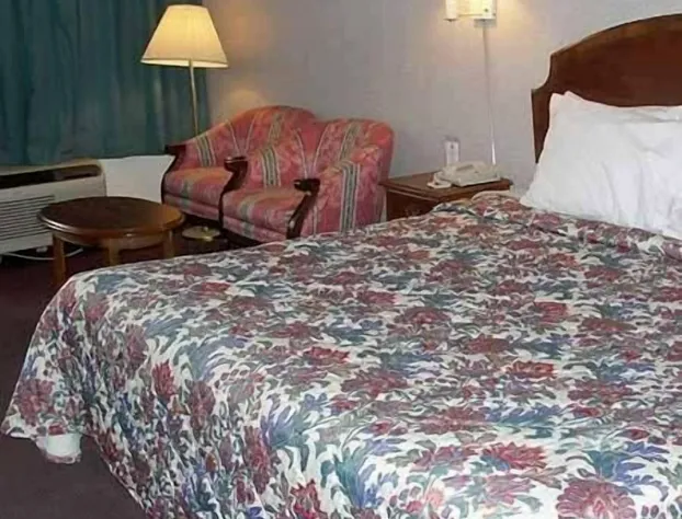 Royal Inn Knoxville Airport Alcoa hotel detail image 1