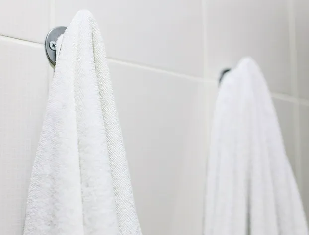 Royal Inn Knoxville Airport Alcoa hotel detail image 4