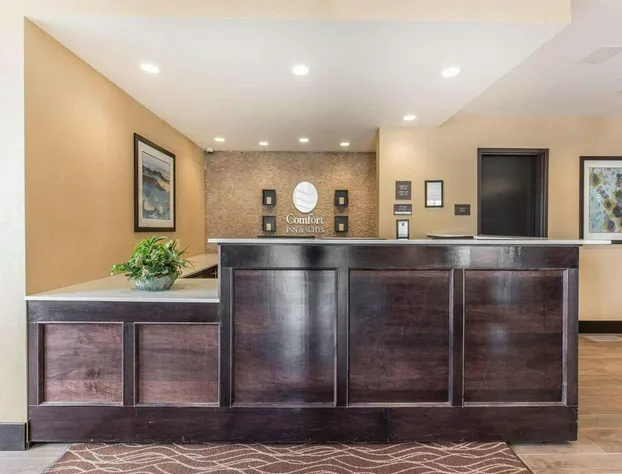 Comfort Inn & Suites Airport North hotel detail image 3