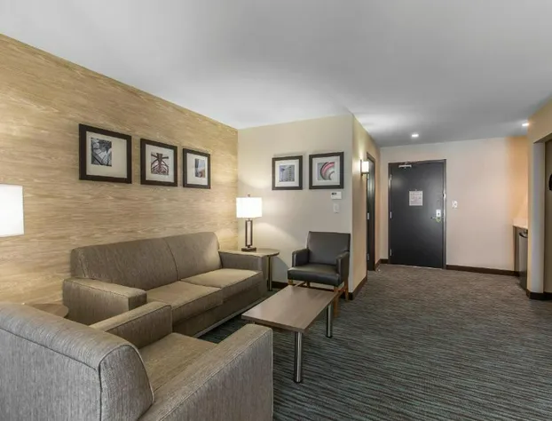 Comfort Inn & Suites Airport North hotel detail image 4