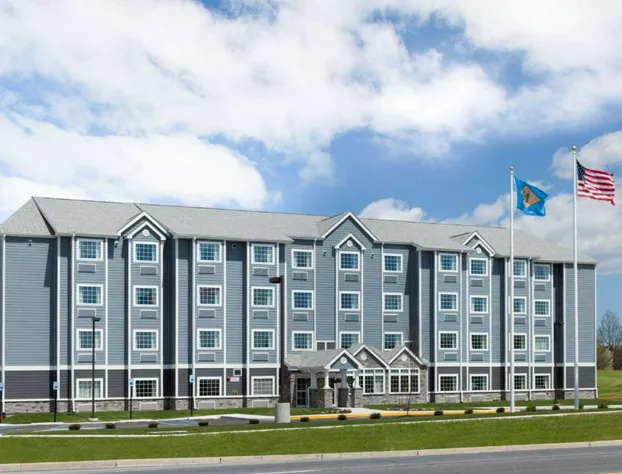 Microtel Inn & Suites By Wyndham Georgetown Delaware Beaches hotel detail image 1