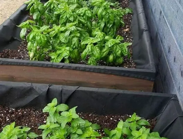 Okoboji Commons Hotel hotel detail image 4