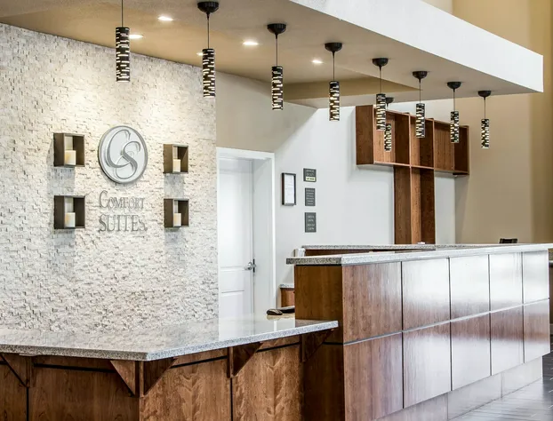 Comfort Suites Woodland - Sacramento Airport hotel detail image 2