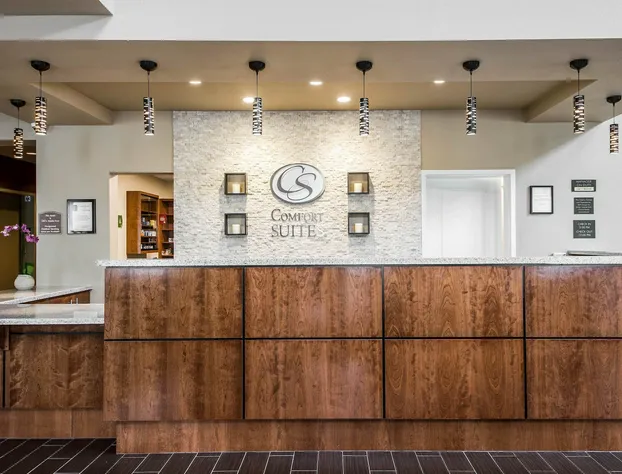 Comfort Suites Woodland - Sacramento Airport hotel detail image 3