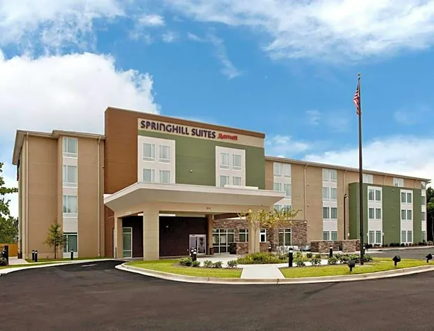 Springhill Suites Mobile hotel detail image 1