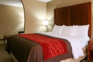 Comfort Inn & Suites Leeds I-20 hotel detail image 3