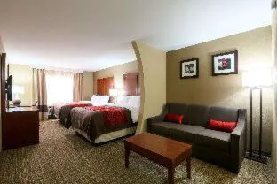 Comfort Inn & Suites Leeds I-20 hotel detail image 4