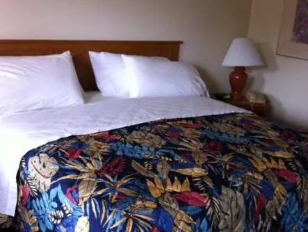 D-Lux Budget Inn Lemont hotel detail image 4