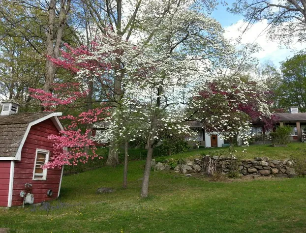 Heidi's Inn hotel detail image 4