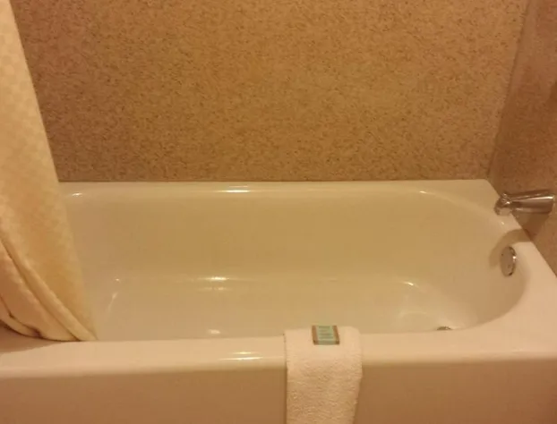 Rodeway Inn Memphis hotel detail image 4