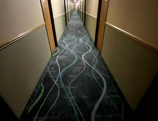 Woodlands Inn & Suites hotel detail image 4