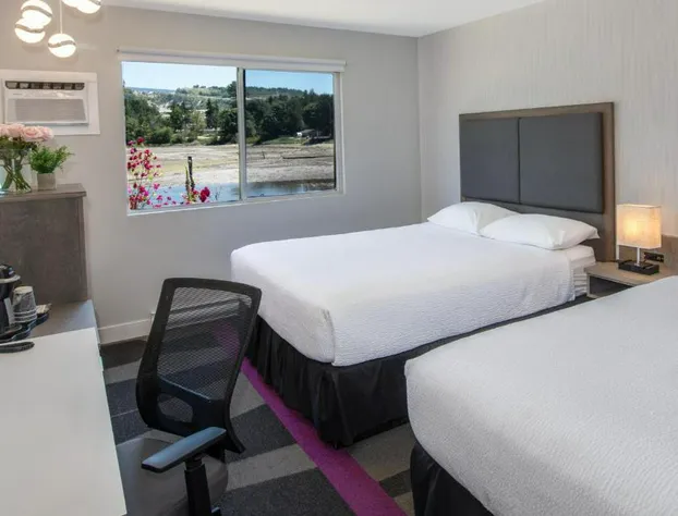 The Spot at Porpoise Bay hotel detail image 2