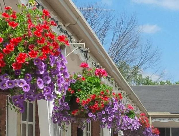 Lord Nelson Motel hotel detail image 1