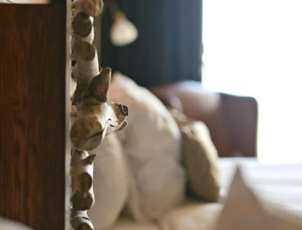 Manoir Belle Plage hotel detail image 4