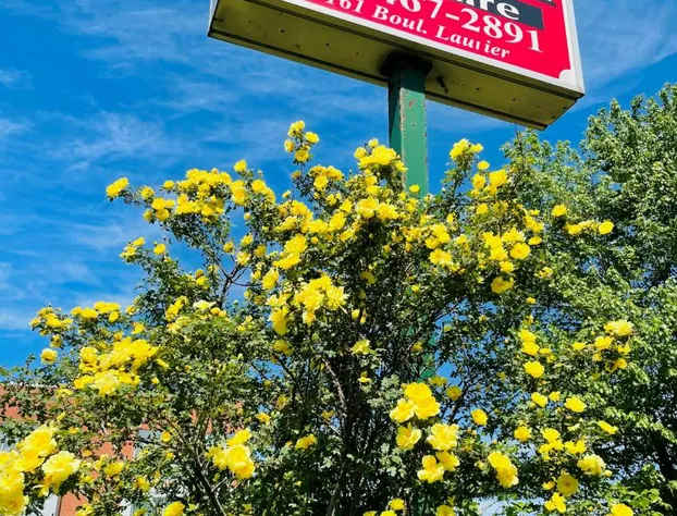 motel St Hilaire hotel detail image 4