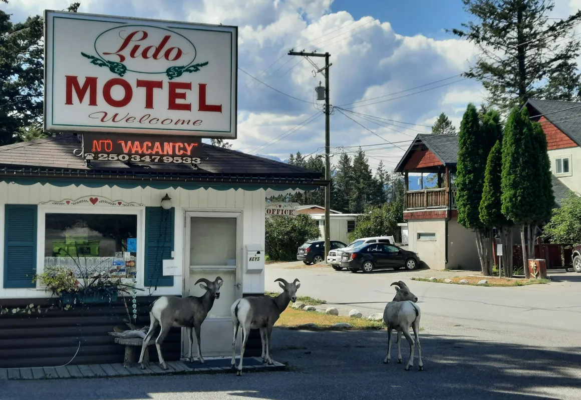 Lido Motel hotel hero
