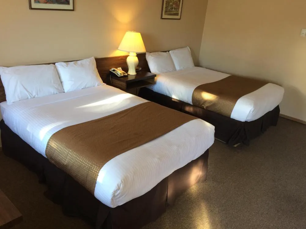 Siesta Motel hotel hero