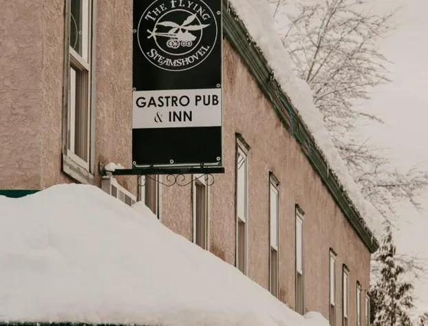 The Flying Steamshovel Inn hotel detail image 3