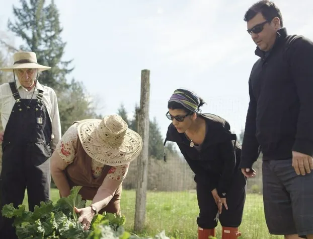 Swept Away Inn hotel detail image 1