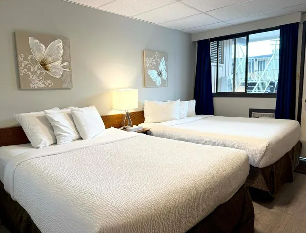 Departure Bay Motel hotel detail image 4