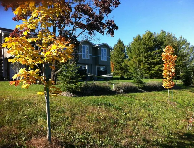 Auberge Aux Deux Pères hotel detail image 2