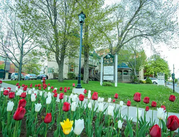 Dundee Arms hotel detail image 4