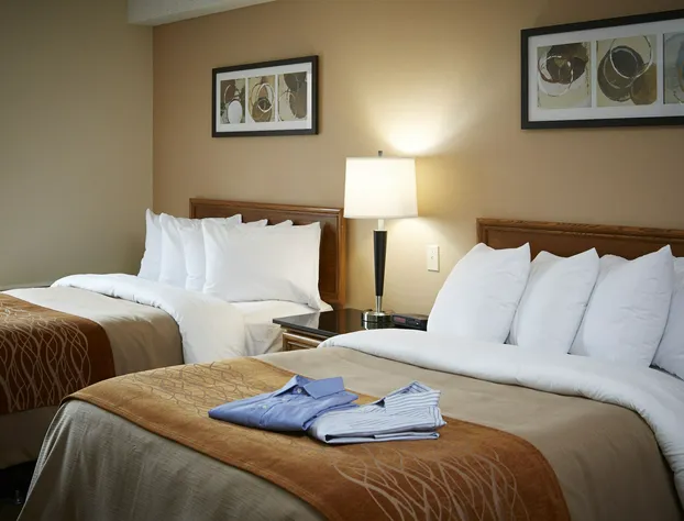 Comfort Inn hotel detail image 2